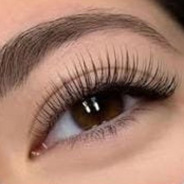 Classic Lash