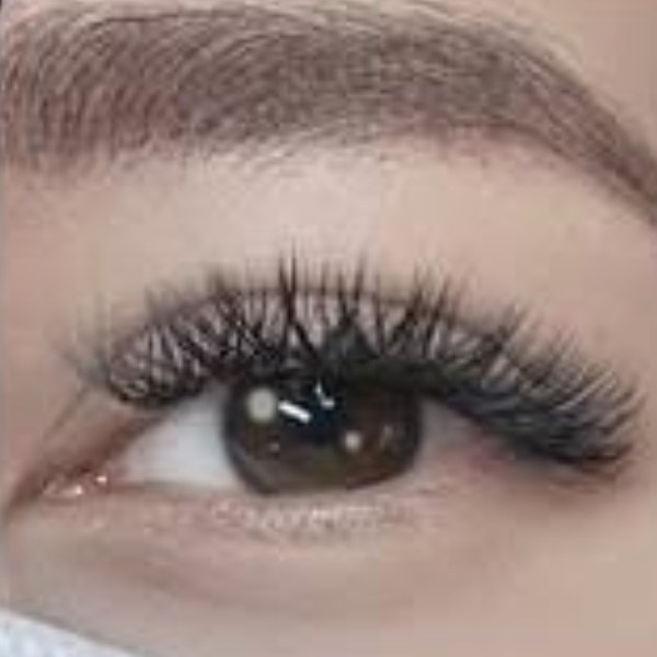 YY / W Lash